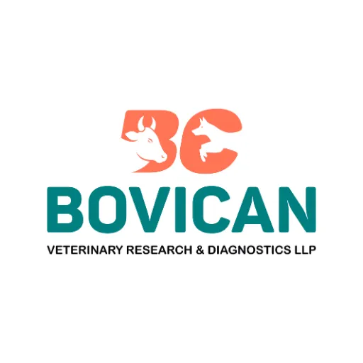 Bovican